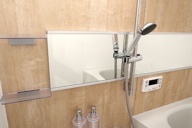 朝日シティパリオ高輪台A館　洗面浴室 (10)