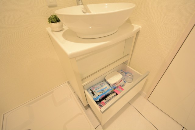 大森山王リハイム 洗面