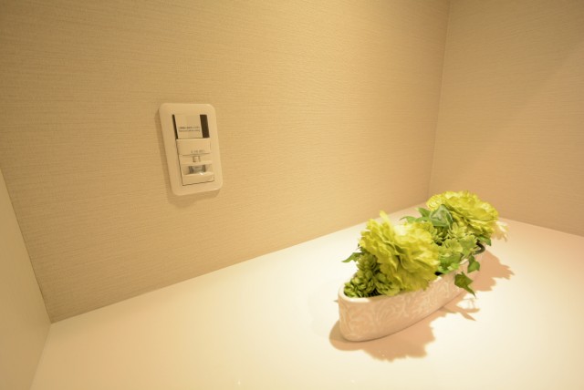 大森山王リハイム 玄関