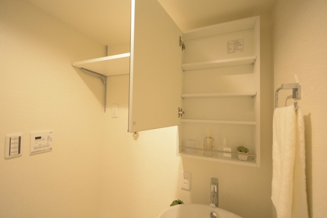 大森山王リハイム 洗面