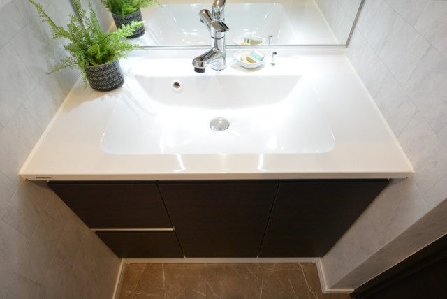 マイキャッスル学芸大学Ⅱ 洗面室