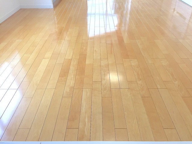 ヴィラティック早稲田