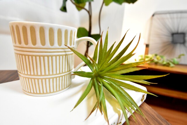 シャトー赤坂 LDK