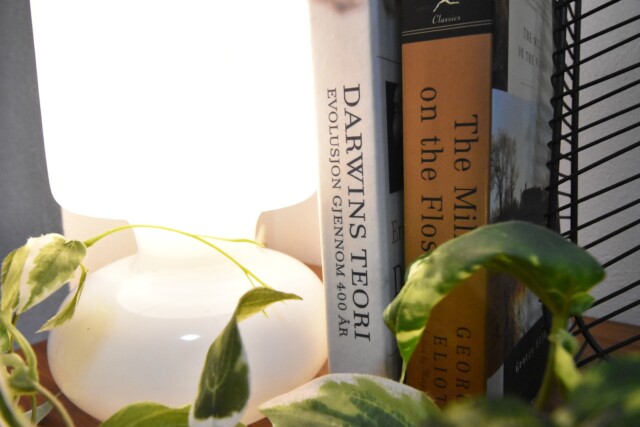 シャトー赤坂 LDK