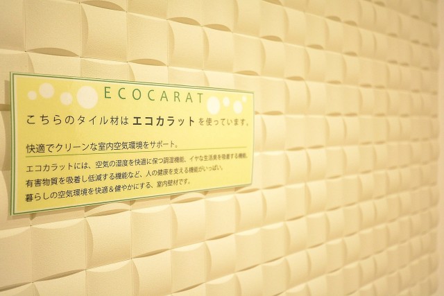 日商岩井豪徳寺マンション　玄関エコカラット