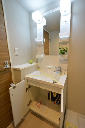 方南町セントラルマンション　サニタリールーム