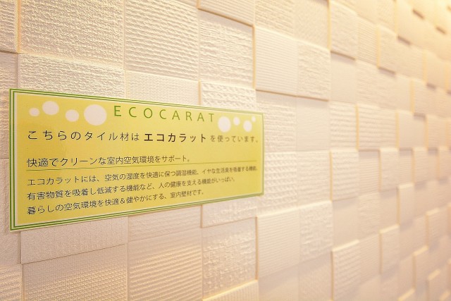 クレール荻窪　10.3帖LDKのエコカラット