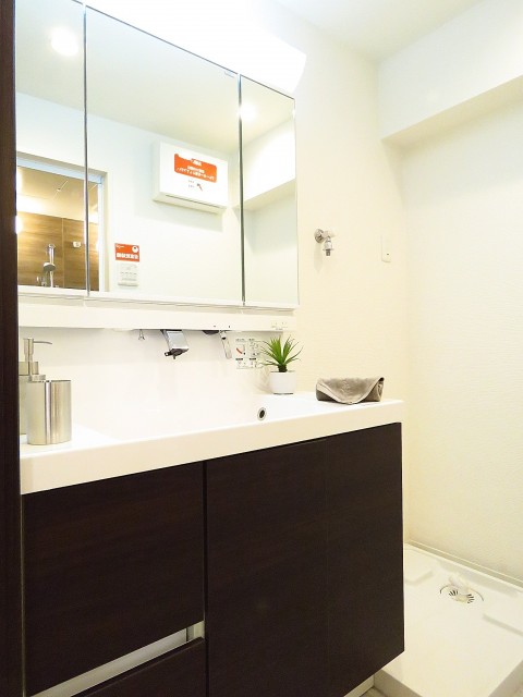 ニューハイツ青山　洗面化粧台