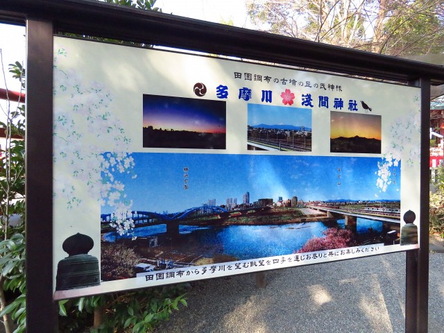 ニューハイツ田園調布　周辺