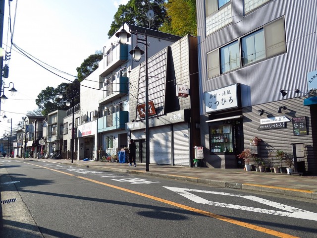 ニューハイツ田園調布　周辺