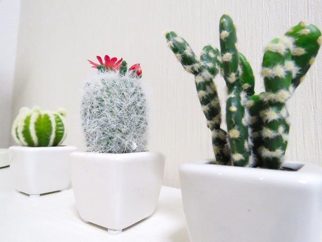 上馬ハイデンス　