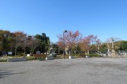 第一フォンタナ駒沢　小泉公園