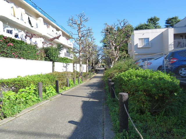 第一フォンタナ駒沢　マンション横の緑道