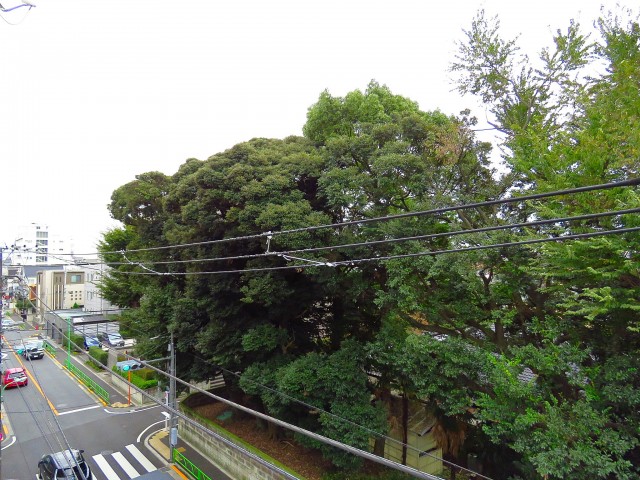 マコトパレス　眺望