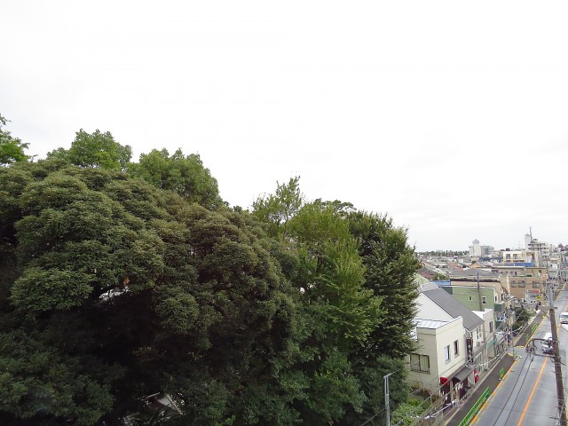 マコトパレス　南側バルコニー眺望