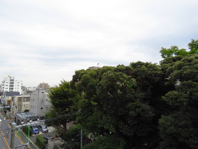 マコトパレス　キッチン横バルコニー眺望