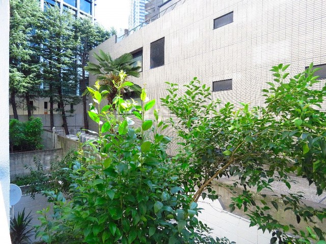 シャトー赤坂　眺望