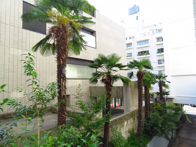 シャトー赤坂　眺望