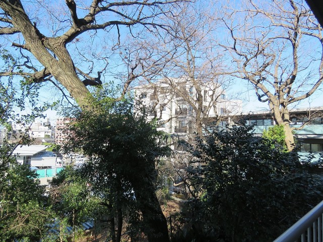 パーク・ハイム用賀　眺望