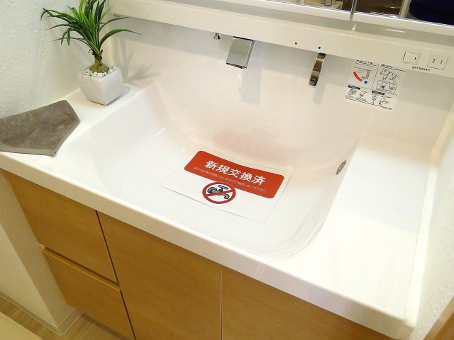 ライオンズマンション神楽坂第3　洗面ボウル