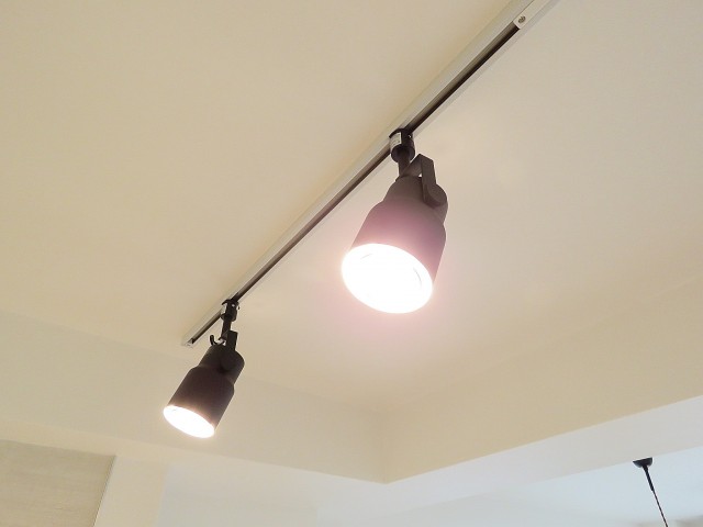 ライオンズマンション神楽坂第3　照明
