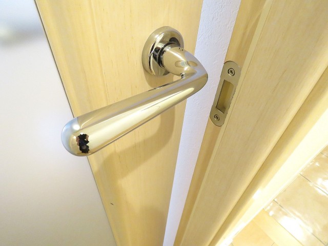 スタジオエアー白金　LDK扉