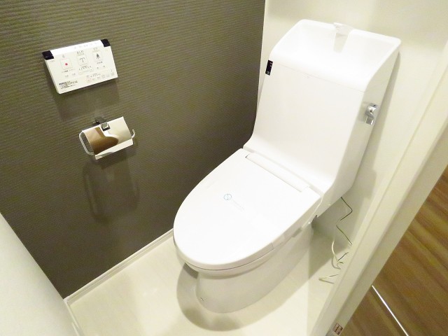 ライオンズマンション飯田橋　トイレ