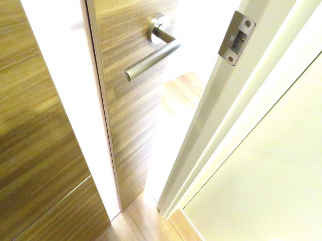 ライオンズマンション飯田橋　DK扉