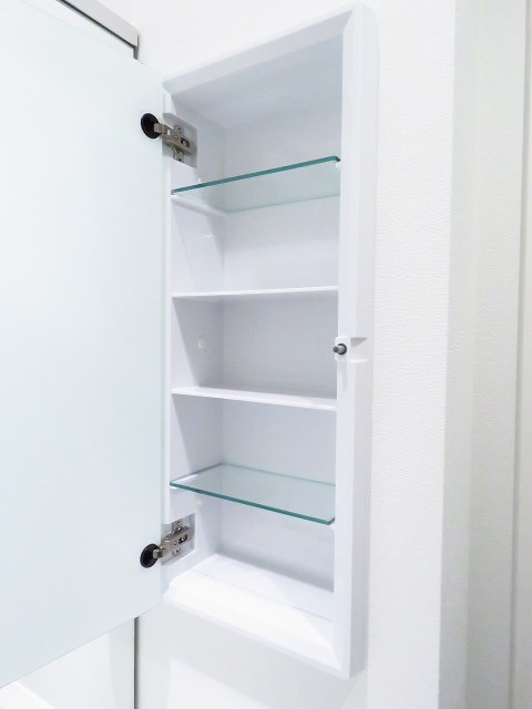 ライオンズマンション飯田橋　収納