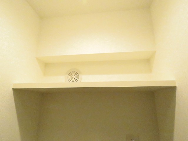 ライオンズマンション飯田橋　洗濯機置場上の棚