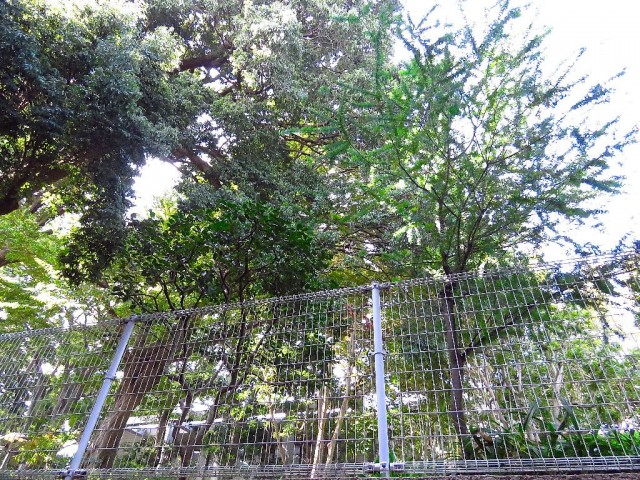 パークハイム用賀　共用部