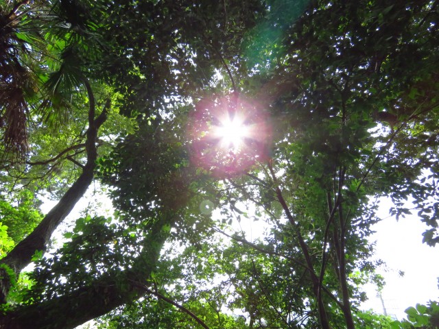 パークハイム用賀　眺望