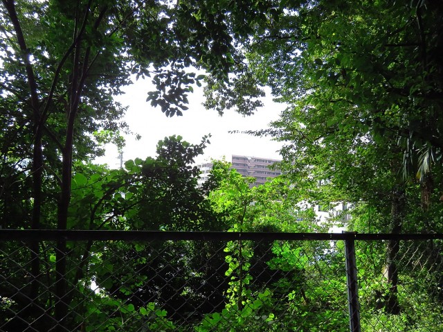 パークハイム用賀　眺望