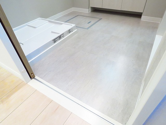 玉川スカイハイツ　洗面室