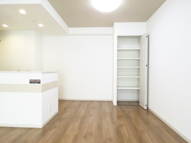 学芸大ゴールデンハイツ　LDK収納