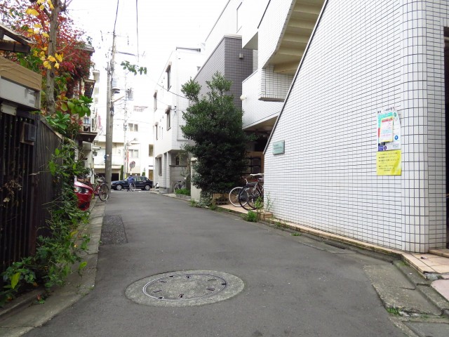 学芸大ゴールデンハイツ　前面道路