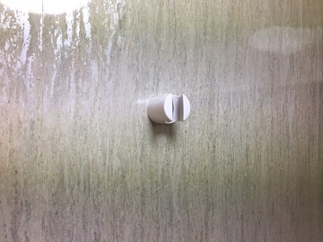 ヴィラティック早稲田