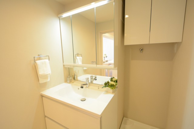 上北沢テラスA棟 洗面