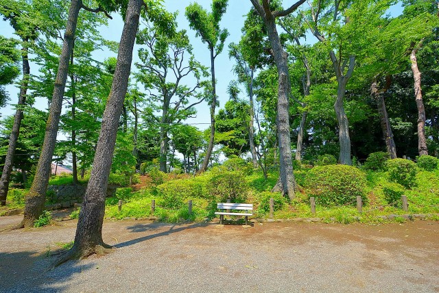 日商岩井豪徳寺マンション (73)　周辺環境