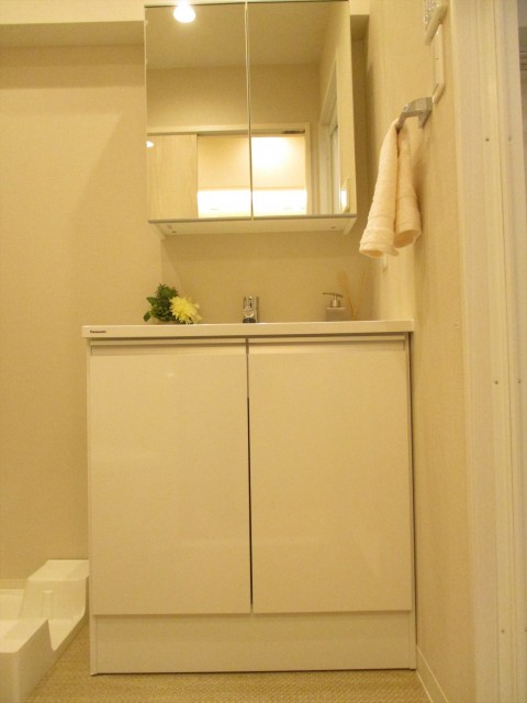 3アルス音羽洗面所