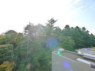 レックス神宮外苑　眺望