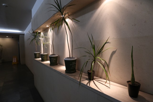 アルス代々木参宮橋コートアデリオン エントランス