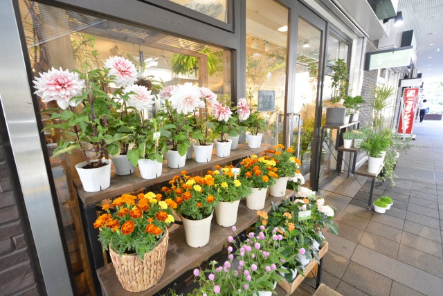 勝どきハイム 周辺