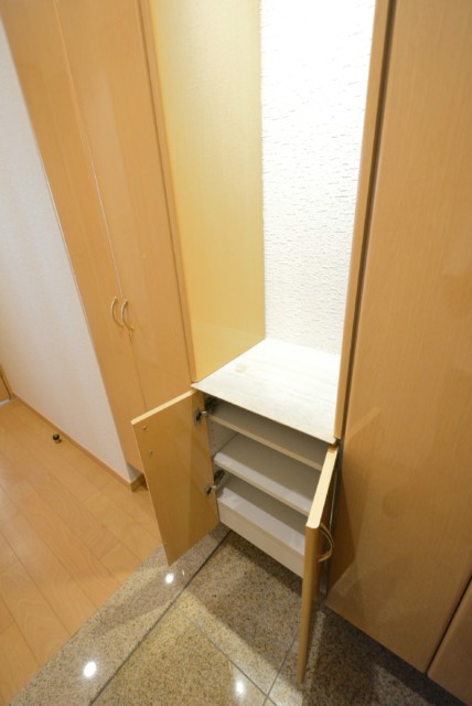 セントラルレジデンス新宿シティタワー 玄関