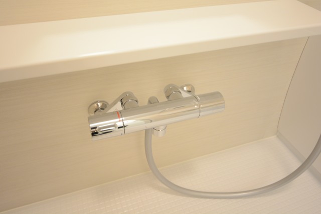 ライオンズマンション池袋 浴室