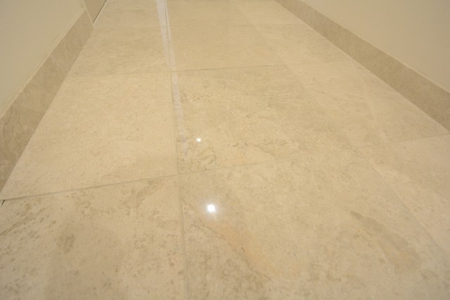 シャトレ市ヶ谷 玄関