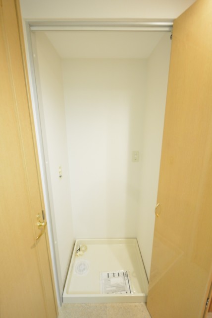 セントラルレジデンス新宿シティタワー 洗濯機スペース