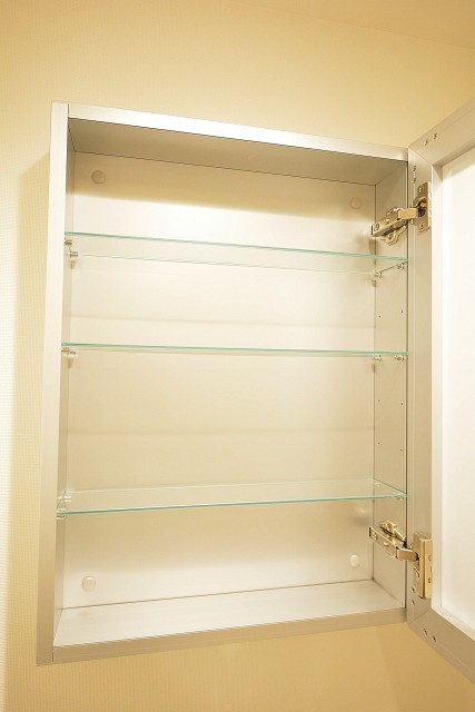 秀和第2北青山レジデンス　鏡裏収納