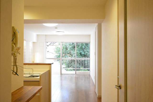 シャトー東洋南青山　LDKドア