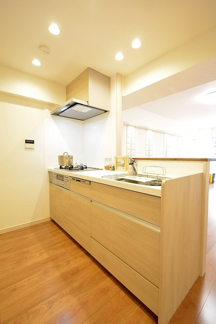 シャトー東洋南青山　オープンキッチン